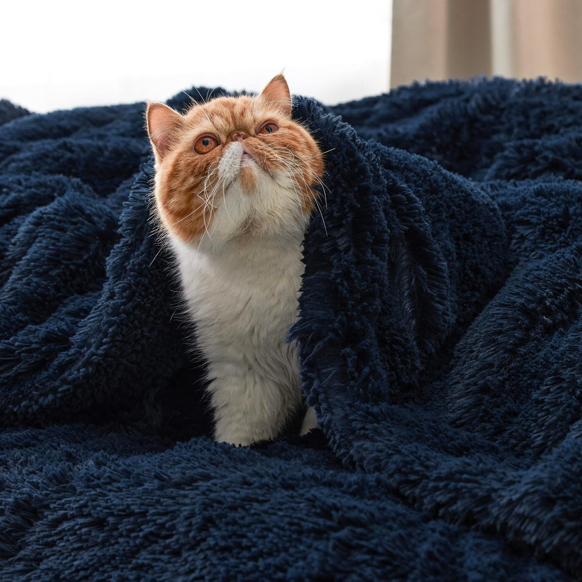 Bedsure GentleSoft Fluffy Navy Blue Throw Blanket for Couch, Dark Blue Gifts for Men, Women, Soft Sherpa Fleece Thick Warm Faux Fur Throw Blanket, Fuzzy Plush Cozy Gifts, 50x60