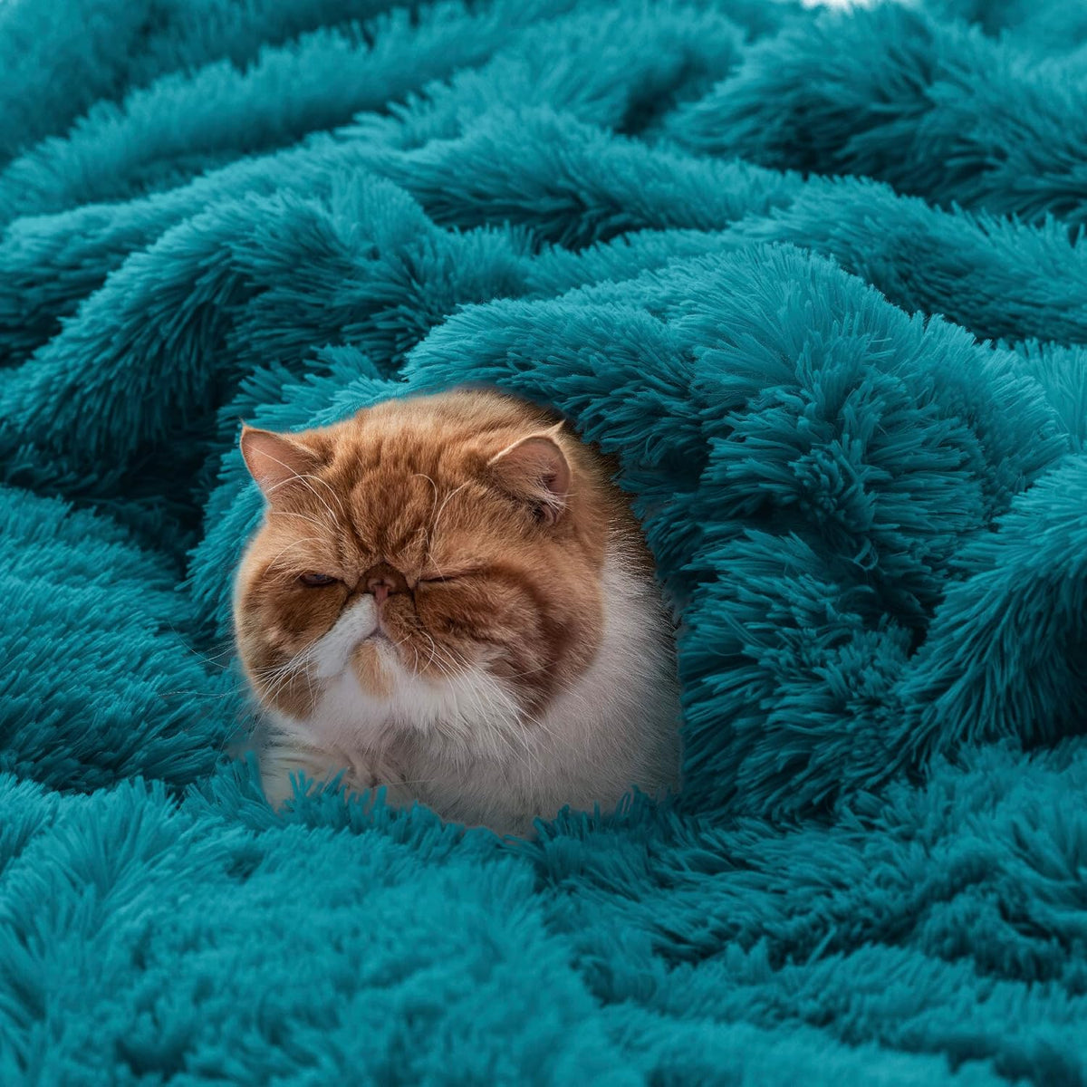 Bedsure Faux Fur Fluffy Fleece Sherpa Blanket Couch Throw Teal 50"x60"